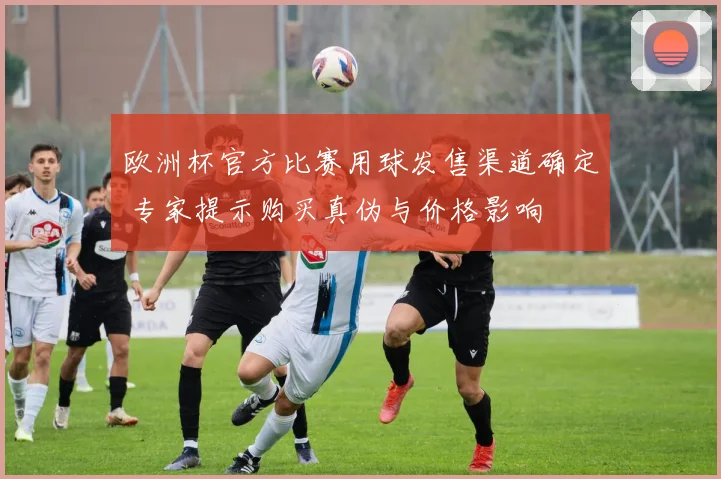 欧洲杯官方比赛用球发售渠道确定 专家提示购买真伪与价格影响