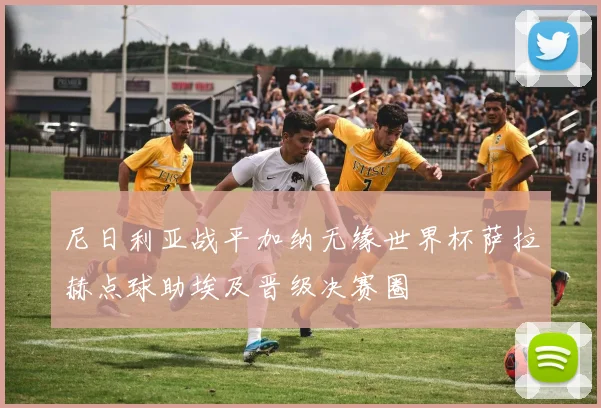 尼日利亚战平加纳无缘世界杯萨拉赫点球助埃及晋级决赛圈